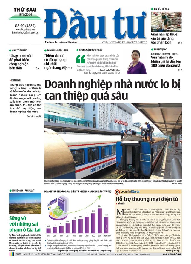 Dau Tu