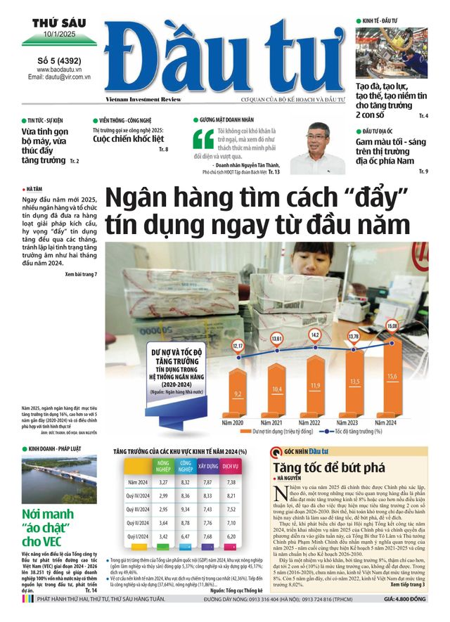 Dau Tu