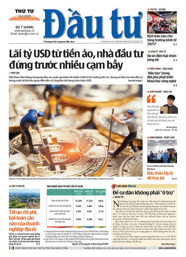 Dau Tu