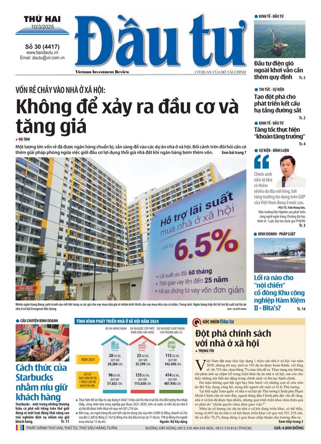 Dau Tu