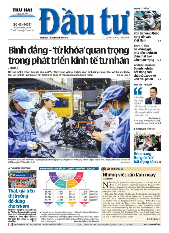Dau Tu
