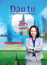 Dau Tu