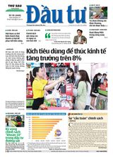 Dau Tu