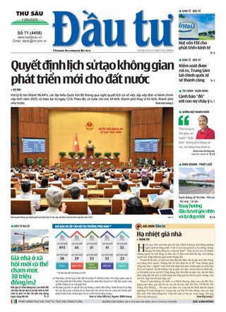 Dau Tu