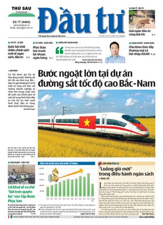 Dau Tu