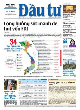 Dau Tu