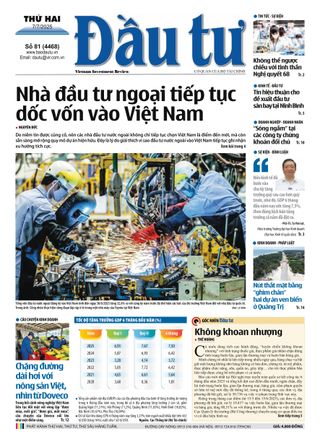 Dau Tu
