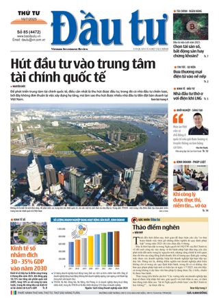 Dau Tu