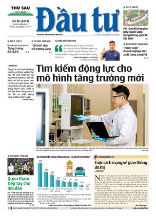 Dau Tu