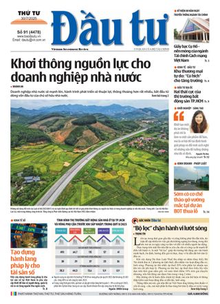 Dau Tu