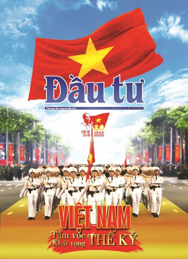 Dau Tu