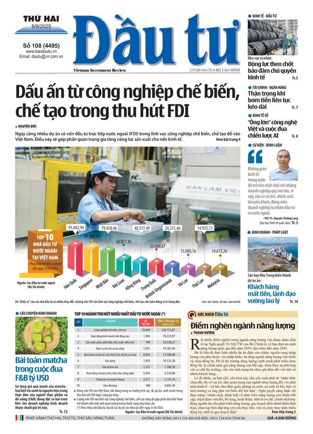 Dau Tu