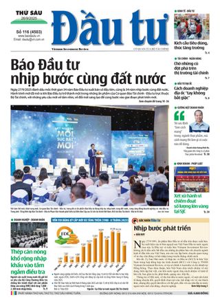 Dau Tu
