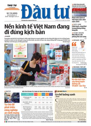 Dau Tu