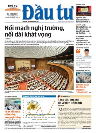 Dau Tu