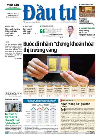 Dau Tu