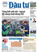 Dau Tu