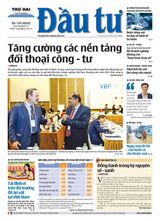Dau Tu