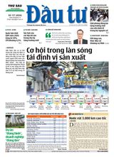 Dau Tu
