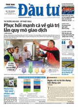 Dau Tu