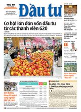 Dau Tu