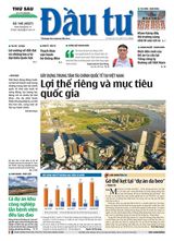 Dau Tu