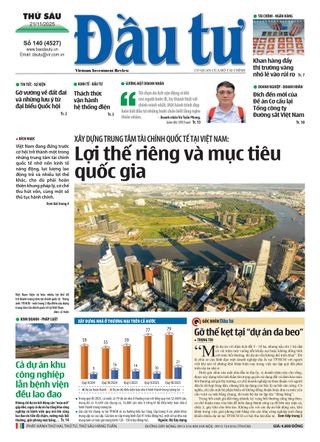 Dau Tu