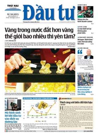 Dau Tu