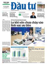 Dau Tu