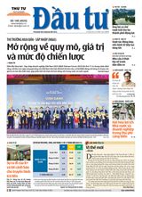 Dau Tu
