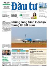 Dau Tu