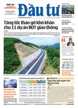 Dau Tu