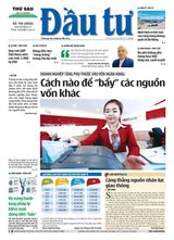 Dau Tu
