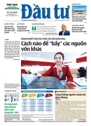 Dau Tu