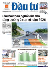 Dau Tu