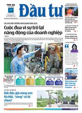 Dau Tu