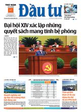 Dau Tu