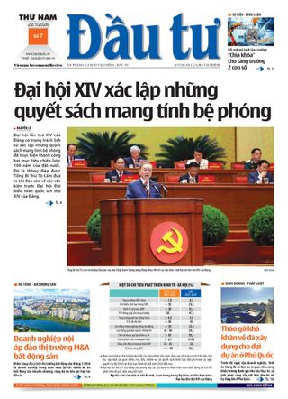 Dau Tu