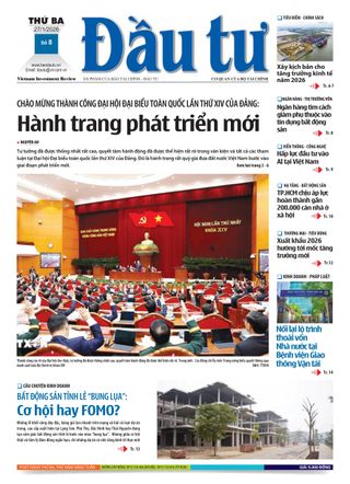Dau Tu