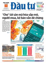 Dau Tu