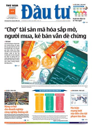 Dau Tu