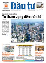 Dau Tu