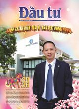 Dau Tu