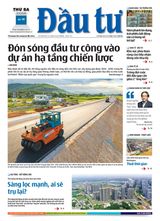 Dau Tu
