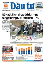 Dau Tu