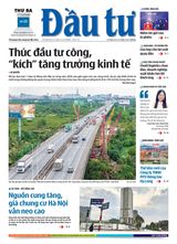 Dau Tu