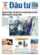 Dau Tu