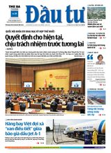 Dau Tu
