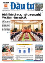 Dau Tu