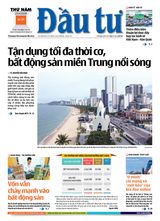 Dau Tu